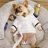 Bathrobe husdjur chihuahua franska bulldogkläder för små hundar jacka kostym hundtillbehör 2011027093040