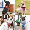 Multi-Colored Stylish Dog Walking Vest Harness and Leashes Set Soft Mesh Padded No Pull Dog Harnesses for Yorkies Chihuahua Poodles Small Medium Dogs