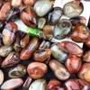 Regalo de vacaciones 5 piezas Hermosas piedras naturales Sardonyx caídas y minerales Piedras preciosas de ágata de palma Cristales curativos para la decoración del hogar RRA12295