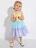 Toddler Girls Colorblock Frill Trim Smock Dress SHE
