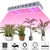 3000W dupla chips 380-730nm Light Output Full Spectrum LED de Crescimento Vegetal Lamp Branco alta