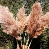 20 stjälkar Pampas gräsbukett torkat blomma bröllop Använd juldekor Konstgjorda blommor Fall Decoration9882187