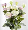 Künstliche Ballonblumen-Pflanzen, künstliche Pflanzen, Blumen, Hochzeit, Valentinstag, Geschenk, rustikale Heimdekoration, Dekoration WQ596-WLL