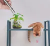 USB Laser Light LED Pen Cat Toys Stainless Steel Mini Rechargeable Laser Multi-Pattern 3 In 1 Pet Training