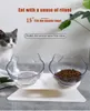 Ciotole per gatti doppie rialzate con supporto antiscivolo Mangiatoie rialzate inclinate di 15 gradi Simpatici alimenti per animali domestici Ciotola per mangiatoia per gatti d'acqua