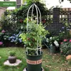 Kraflo Garden Decoration Esgrima Flor Colunar Estilo Europeu Grape Grape Clematis L Plant Climbing Frame