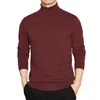 Men's Sweaters High Quality Turtleneck Sweater Men Pullover Basic Solid Turtle-Neck Male Black Wine Red Green Grey Purple Knitwear Man