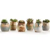 6pcs / lot céramique hibou jardinières de fleurs coulant base de glaçure série série succulente cactus plante conteneur planteur bonsaï pots Y200709