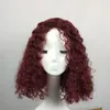 Ombre Syntetisk Afro Kort Kinky Curly Lace Front Paryker med Baby Hair Heat Resistant Top Fiber Paryker för svarta Kvinnor N18