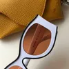 Nouvelles lunettes de soleil personnalisées G616487X02 Lunettes de soleil couleur fruit Forme irrégulière Cadre en fibre de résine Conception concave Style unique avec boîte