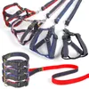 Pet Cowboy Rope Chain Verstelbaar hondenharnas met riem afgebroken hond nylon riem voor puppyblauw roze