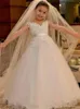 Flower Girl Dresses for Wedding V Neck Sweep Train Ball Gown Tulle Appliques First Communion Dress with Sash