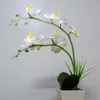 Lumiparty 9leds simula la lampada Phalaenopsis Pot con luce bianca per la decorazione Y200104