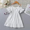 2-8 Years Baby Girls Pageant Lace Embroidery Dresses Toddler Formal Dress kids girl white summer skirts