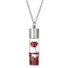 S1848 Collana calda del pendente dello scorrevole del fiore asciutto di vetro della collana del pendente della bottiglia dei gioielli di modo