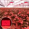 Lampada per la crescita delle piante a LED a spettro completo di luce da 1000 W a doppio chip 380-730 nm bianca