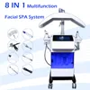 Professionell micro dermabrasion Facial Care Machine Hydradermabrasion Ansikte Deep Cleaner Eliminera Acne Multifunktionell ansiktsbehandling