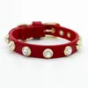 Lyxiga hund husdjur krage katt halsband tillbehör bling tjeckisk anpassad designer äkta läder kristall lj201111