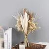 1 Set Hochzeit Blume Phragmites Reed Kaninchen Schwanz Getrocknete Natürliche Pampas Gras Dekor Weihnachten Home Wohnzimmer Dekoration 220311