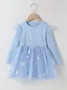 Toddler Girls Snowflake Mesh Panel Wzburzyć Test Smock Sukienka Ona