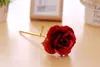 Creative Gifts Lasts Forever Rose Flowers for Lover Wedding Christmas Valentines Mothers Day Decoration 24k Gold Foil Plated Rose DDB453