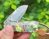 1pcs Pocket Folding Kniv VG10 Damaskus Stålblad Abalone Shell + Rostfritt stålhandtag EDC Mini Små presentknivar med nylonväska