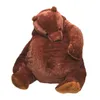 60cm/100cm Soft Brown Bear DJUNGELSKOG Plush Toys Stuffed Bear Teddy Toys Hugging Pillow Cushion Children Gift VIP LJ201126