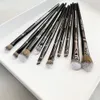 Pro Eye Makeup Brush Set 10-Pcs Black Eyeshaodw Shaping Contouring Highlight Liner Lip Concealer Blending Cosmetics Beauty Tools