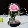 Forever Rose in Glass Dome on Wood Base with Warm Light Valentine's Day Anniversary Birthday Rose Gift