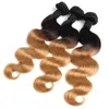 Brazylijski Ciało Wave Dwa Tone Color Ombre Ludzkie Remy Włosy Uwagi T1B / 27 T1B / 30 T1B / 99J Brązowe Burgundia Czerwone Wefts