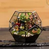 Office Tabletop Display Planter Succulents Plant Container Flower Pot Fairy Garden Polyhedron Glass Geometric Terrarium Bonsai Y200723