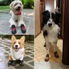 حذاء Truelove Pet Dog for small s out ourd ourdive spaws paws boots foots buty dla psa lj200923