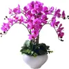 1 set designed orchid Phalaenopsis real touch flower high grade table flower arrangement like real flower blue white purple T200509