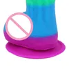 NXY Dildos Consolador LifeLike kvinnliga sexleksaker, 20 cm Rainbow Masturbators, Penis Bands, Sugkoppar, Butiker, Nya produkter i 1210