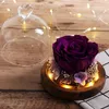 Wystrój domu prawdziwa róża w szklanej kopule Ekskluzywna suszona kwiat na wesele walentynki 039S dzień świąteczny