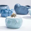Blue Ocean Series Charnu Flowerpot Vase Style européen Shell Forme de poisson en céramique Bonsai Pots de plantes succulentes Planteur pour bureau 220211