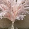 20 Stiele Rosa Farbe Große Größe Blume Real Getrocknete Pampas Gras Hochzeit Blume Bündel Naturpflanzen Home Fall Decor