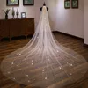 Glittering Sequined Wedding Veils For Brides Ivory Champagne Tulle One Layer Sparkle Bridal Veils Long Cathedral Women Hair Accessories AL8233