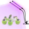 ZX-MINI-30W Grow Light voor indoor planten 2 hoofd verdeelde verstelbare gans hals clip-on bureau 40led zwart