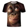 Koszulki 3D Mężczyźni 2020 Letnie Drukowane Zwierząt Małpa Koszulka Z Krótkim Rękawem Śmieszne Design Casual Topy Tees Męski Koszulka Rozmiar XXS-6XL