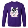 Venda quente-bonito Hoodies engraçado Fahsion Crew Neck Tracksuit Cartoon Husky Print 2020 New Mens Primavera Outono Sportswear Cor Solid Moletom