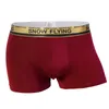 Men Boxershorts Boxers solides sous-vêtements Coton Calecon Homme de Marque Male Panties plus Sous-Pants de taille pour hommes 5pcslot y200415