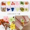 Mix Gedroogde bloemen Natuurlijke bloemenblad Nail Stickers 3D Decals Poolse Manicure Accessoires