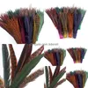 Dekoracja imprezowa pióra materiały rzemieślnicze na ślub Bdenet Naturalny górski koktajl DIY Kolor 30-35 cm Materiały rekwizytów jllpic