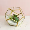 Office Tabletop Display Planter Succulents Plant Container Flower Pot Fairy Garden Polyhedron Glass Geometric Terrarium Bonsai Y200723