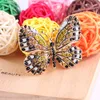 Färgglada Rhinestone Butterfly Brosch Beauty Lady Gold Zinc Alloy Crystal Exquisite Butterfly Brosch Wedding Party Gift