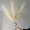 Lunghezza totale 60 cm Reed Pampas Orecchie di grano Coda di coniglio erba naturale Fiori secchi di nozze fieno per la festa bohémien 20220104 Q2