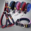Denim Dog Leashes med krage för promenader högkvalitativa stora små hundar Rope Enkel Färg Harness Metal Button 2.5 * 120cm xl