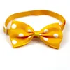 Wholesale Dog Accessories Cats Bow Tie Adjustable Neck Strap Grooming Necklace randomly colors Other Pet Supplies