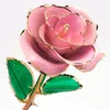 Cadeaux de la Saint-Valentin Rose trempée dans l'or 24 carats a duré de vraies roses cadeau romantique pour la Saint-Valentin/fête des mères/Noël/anniversaire